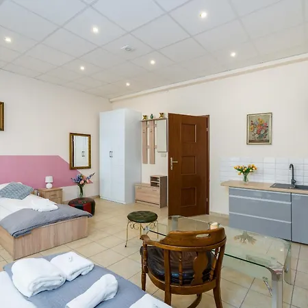 Downtown Shopping Street Family Polwiejska By Renters Apartment
